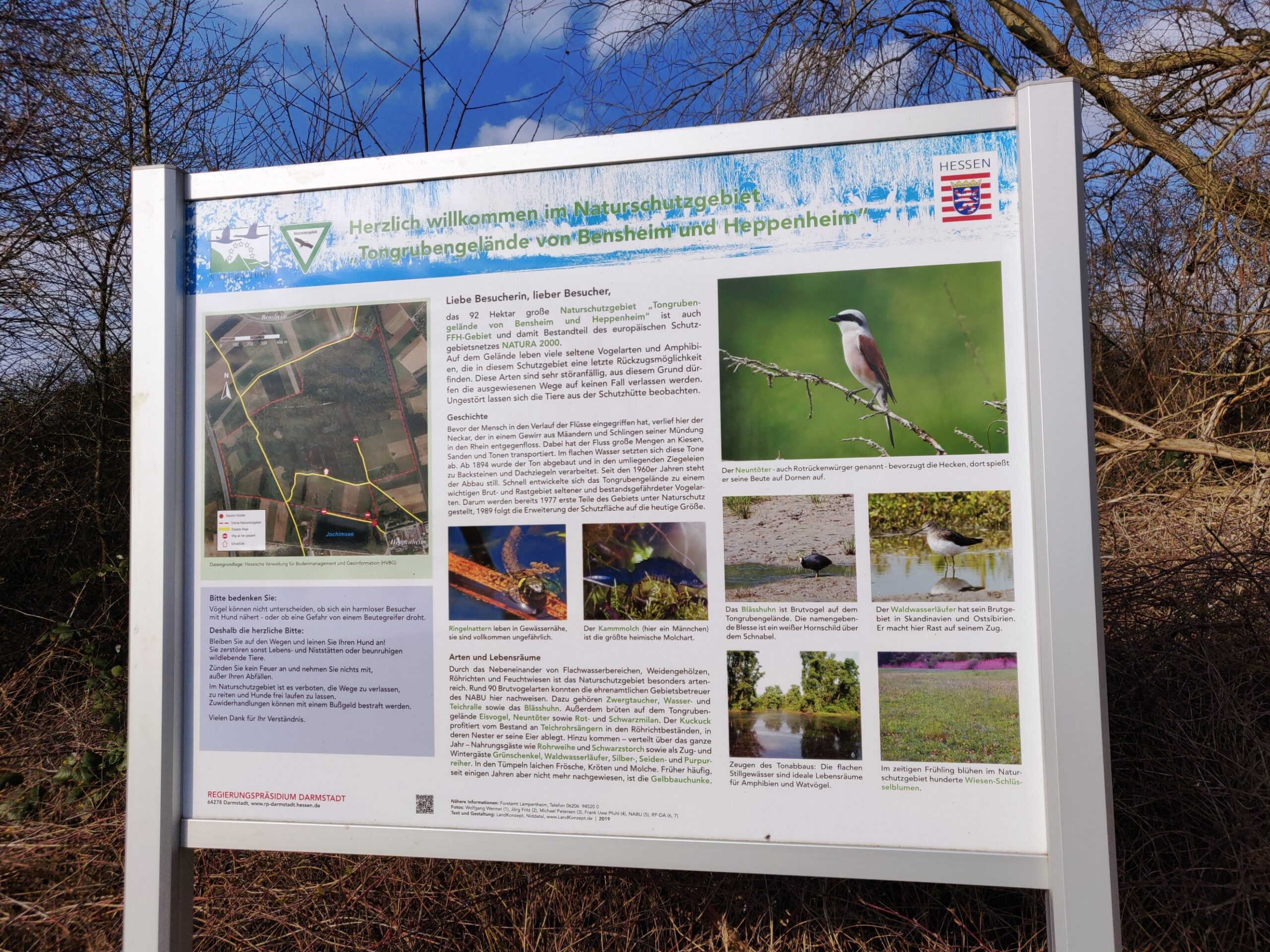 Naturschutzgebiet Tongruben von Bensheim und Heppenheim