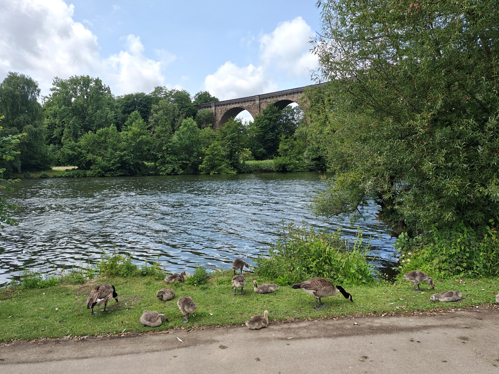 Ruhrtal-Radweg