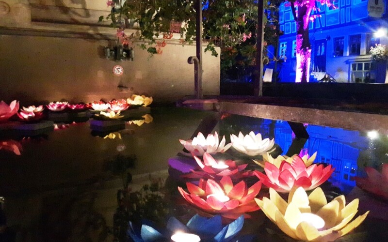 Bunte Blumen