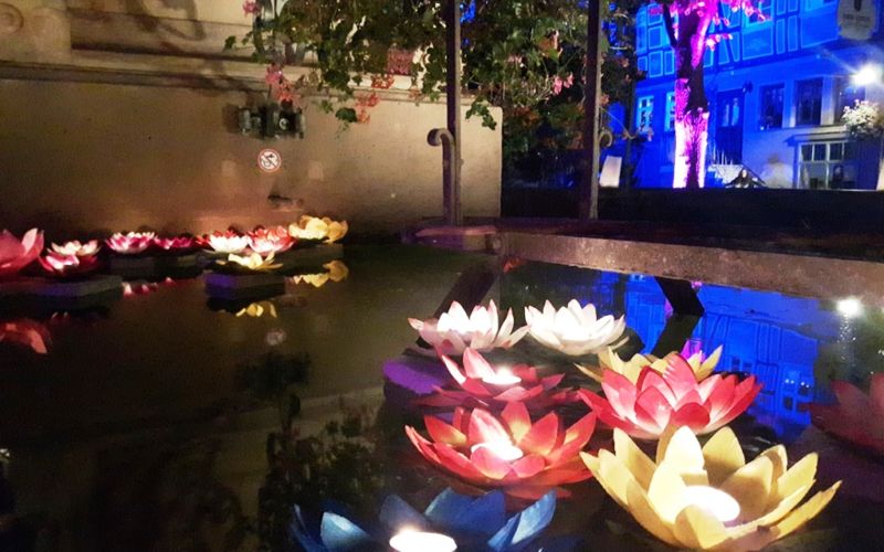 Bunte Blumen