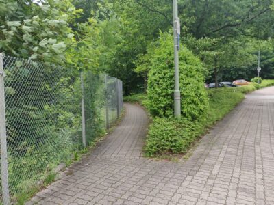 Der Einstieg in Kaiserslautern