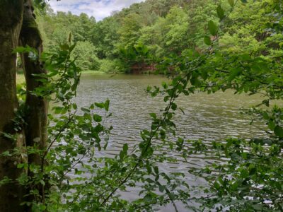 Schöne und ruhige Gewässer