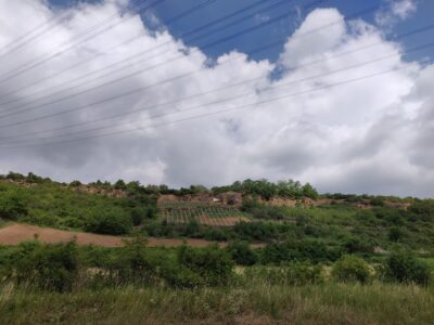 Reben