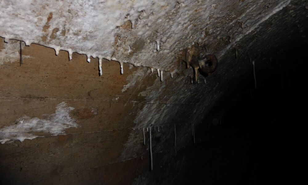 Stollendecke mit Stalaktiten durch eindringendes kalkhaltiges Grundwasser
