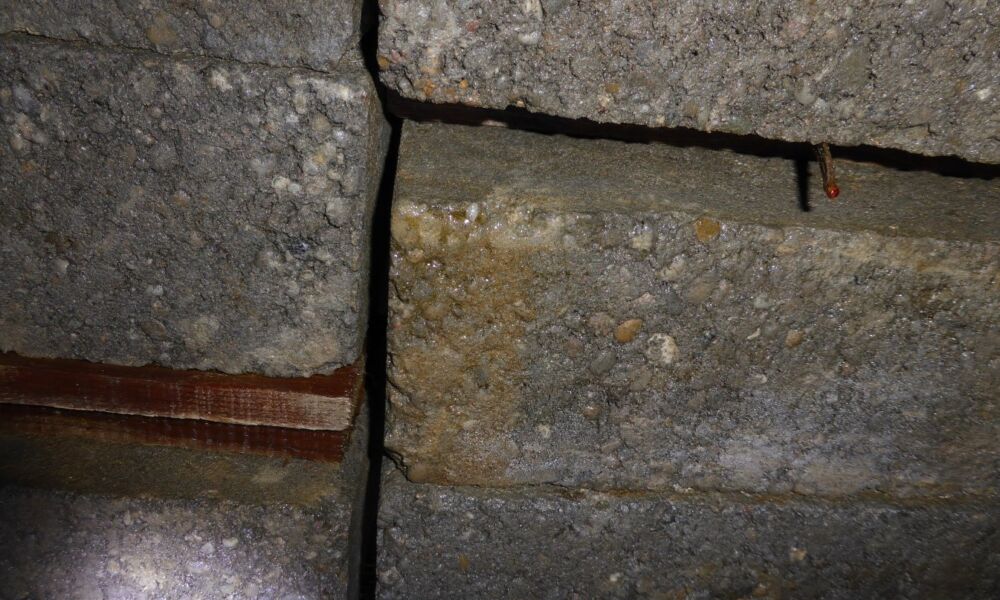 Gewölbemauerung an der Decke mit zahlreichen Spalten – Versteckmöglichkeiten für Fledermäuse