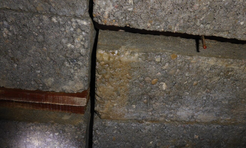 Gewölbemauerung an der Decke mit zahlreichen Spalten – Versteckmöglichkeiten für Fledermäuse