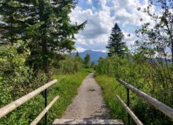 Kochelsee Moos - Ausblick