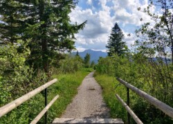 Kochelsee Moos - Ausblick