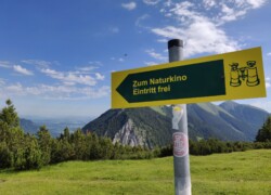 Wank - Naturkino mit freiem Eintritt