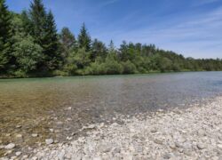 Pupplinger Au - Isar