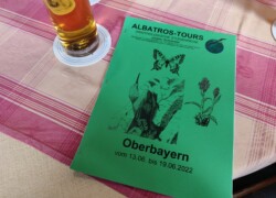 Checkliste - Für jede/n TeilnehmerIn im Vorfeld zur Verfügung gestellt