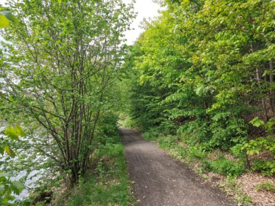 Direkt am Wasser ist die Runde um den Edersee wunderschön zu fahren – solche Abschnitte gehören zu den klaren Highlights. Man sollte nur wissen: Der Radweg bleibt nicht durchgehend so entspannt.